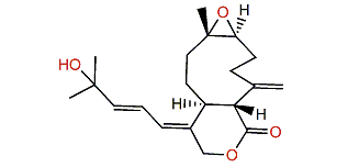 Florlide C